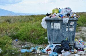 Read more about the article BDO, czyli baza danych o produktach i opakowaniach oraz gospodarce odpadami